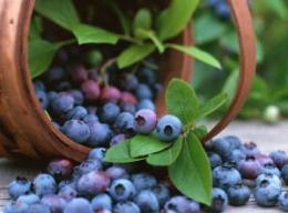 �׌��{(l��n)ݮ��(ji��)�����齭�e�k