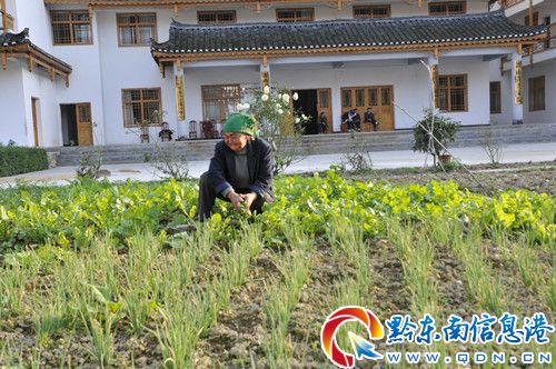 雷山孤寡老人集中供養實現老有所養(圖)