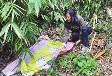 �t����O���ؑ�"�Ⱦ��X���M���^"�Ȃ��� �gӭ����O��