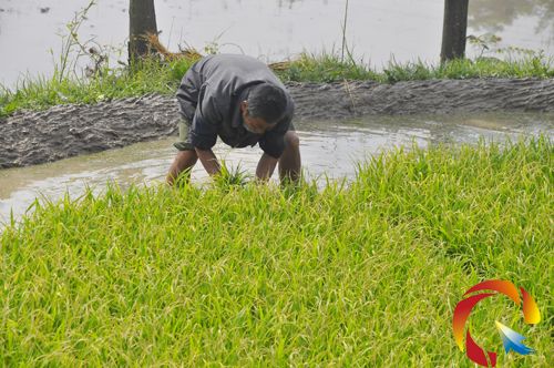 �r�����ڳ��ܞĺ������