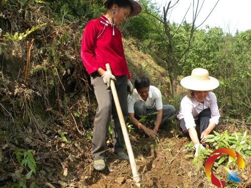 �F��ʡͬ������ˎ���޹�˾���g�ˆT���У����ϰ���ʾ���Nֲ����޽