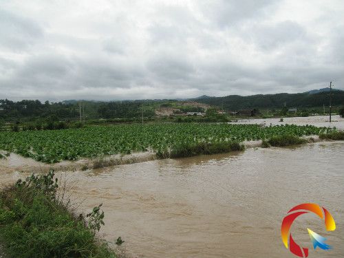 �D�阷���域����e�M����ˮ�ѿ�������һ���