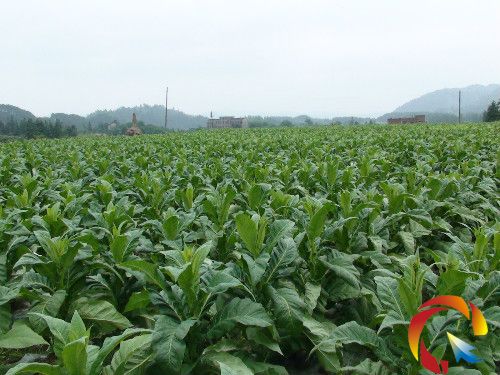 ������ժ���