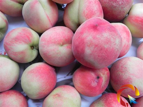 ��h�h�Ƽ������_������Ʒ�NƷ�b��