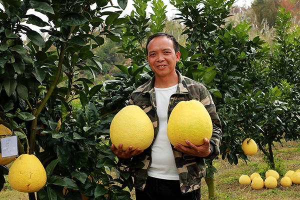 ���̩�������׌�����M���l���F����ƽ�_չ�Y�����