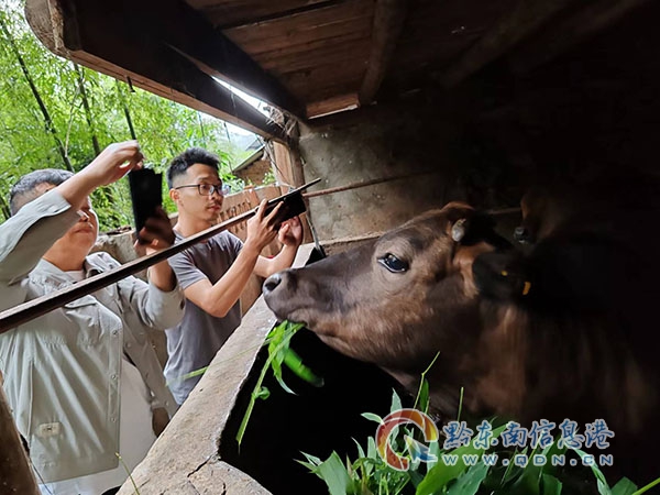 ��ƺ�(zh��n)����·�L���R�l(f��)�����o��Ѵ���r�幫·��ȫ