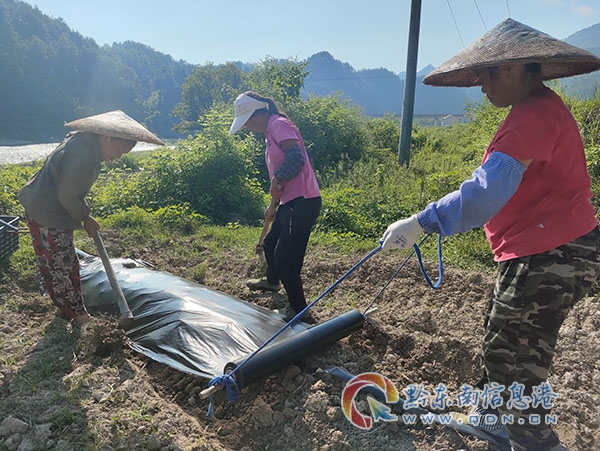 �����(zh��n)�����·��ȫ�o��  �o������������