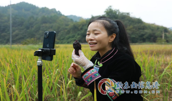 網絡 達人帶貨直播