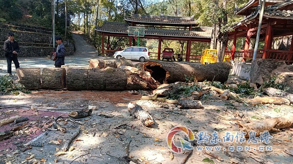 �P�������Ø��(zh��n)2500���Ͳ������G�b��